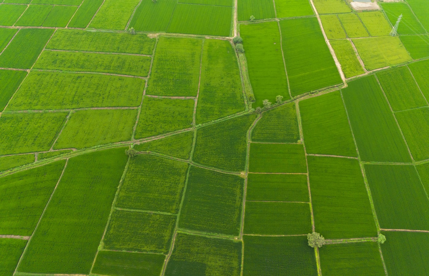 Agricultural land with borewell near Godavarru