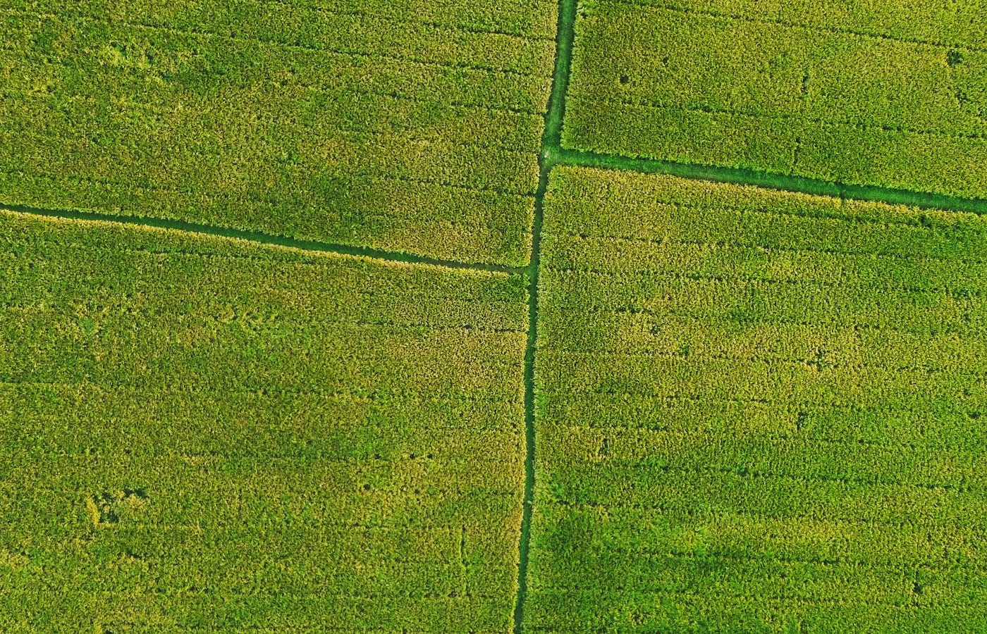 Productive farm parcel in Anantasagaram