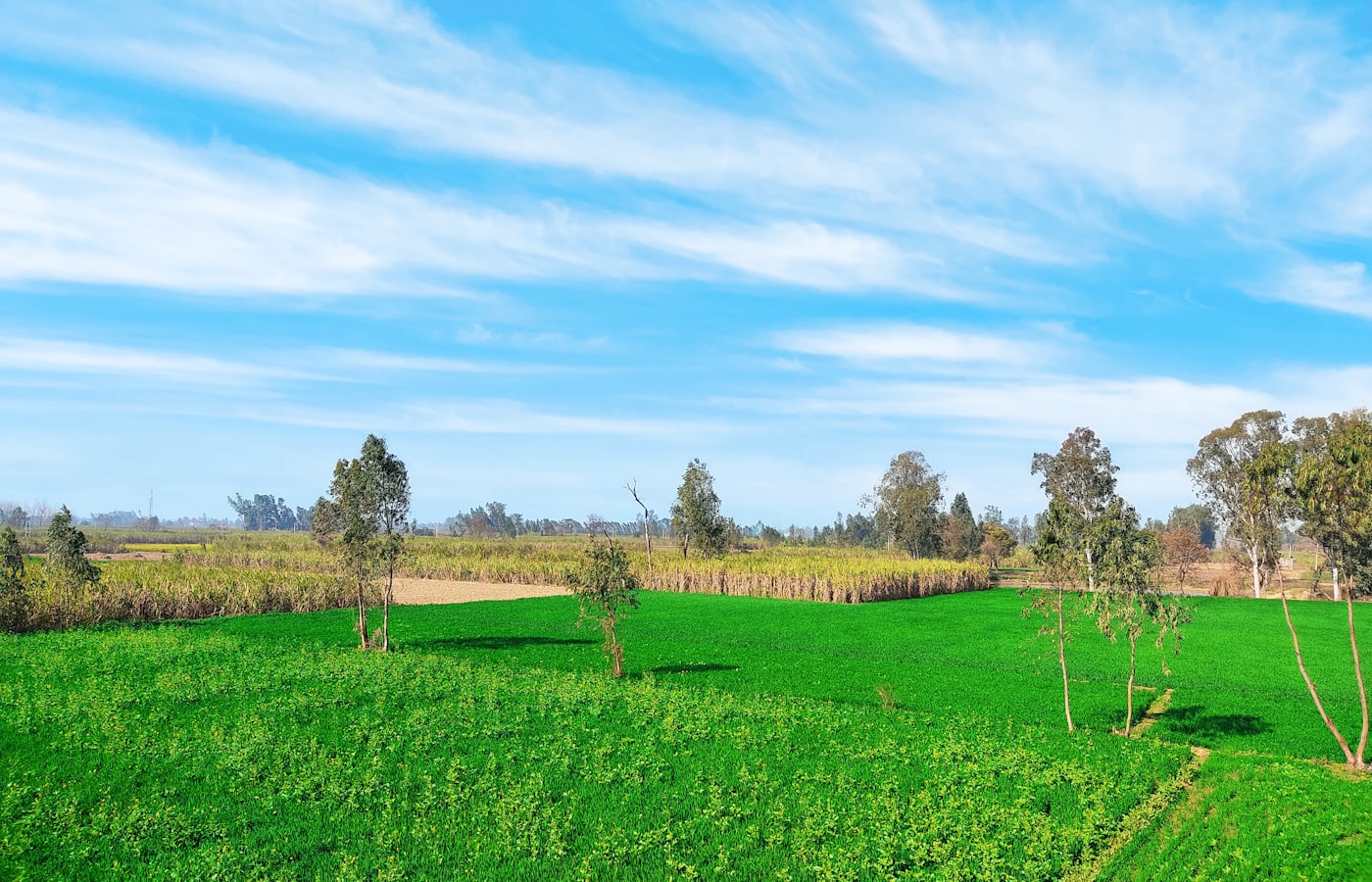 3.24-acre farm with road access near Atlur