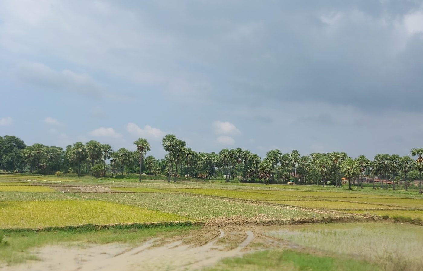 5.45-acre cultivated land near Duppalapudi