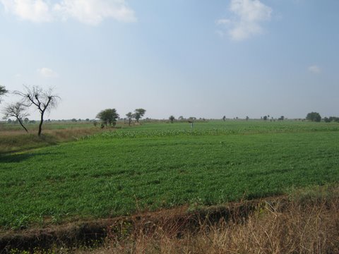 3.0-acre Bare agricultural land near Gonugunta