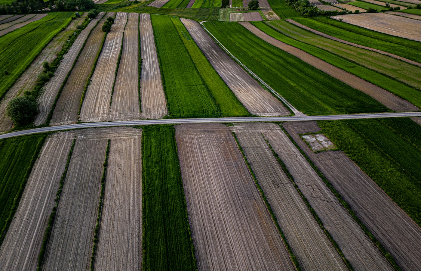6.29-acre farm with road access near Anantapur Urban